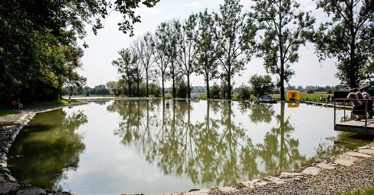Rybníky pod Bedřiškou v ostravském obvodu Nová Ves. Foto: Adolf Horsinka
