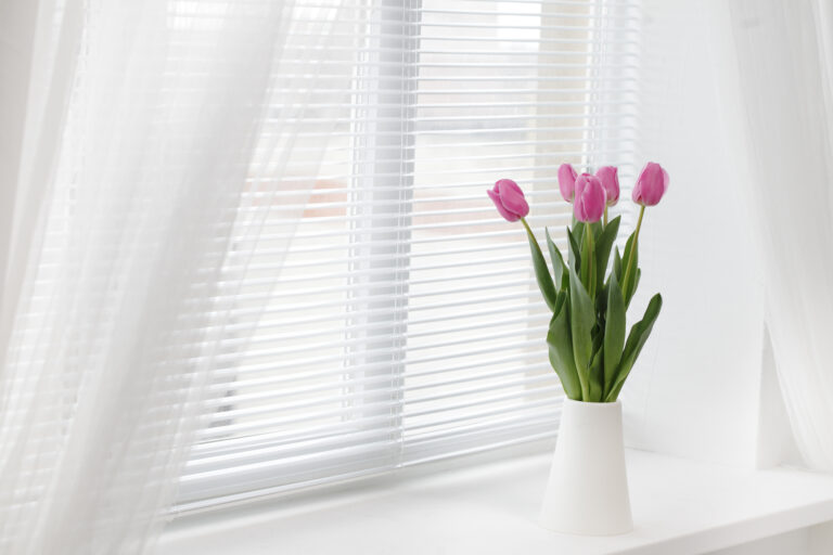 tulipany