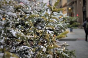 Ostravský vánoční strom není letos jediným lákadlem