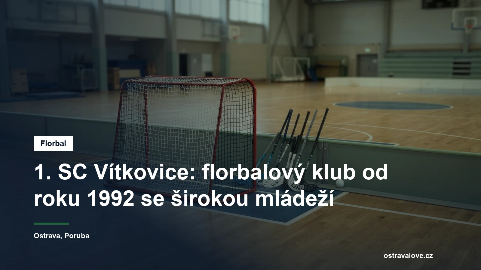 Florbalová branka a hokejky opřené o mantinel v hale
