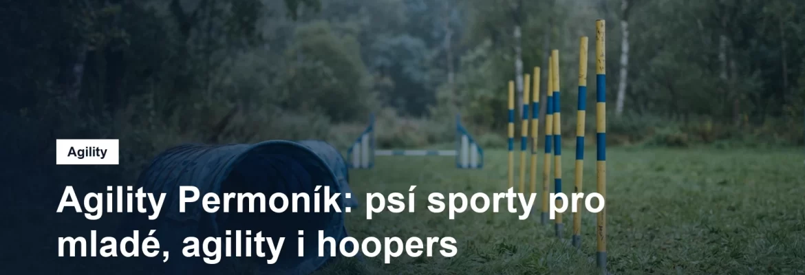 Agility tunel a slalomové tyče na travnaté ploše