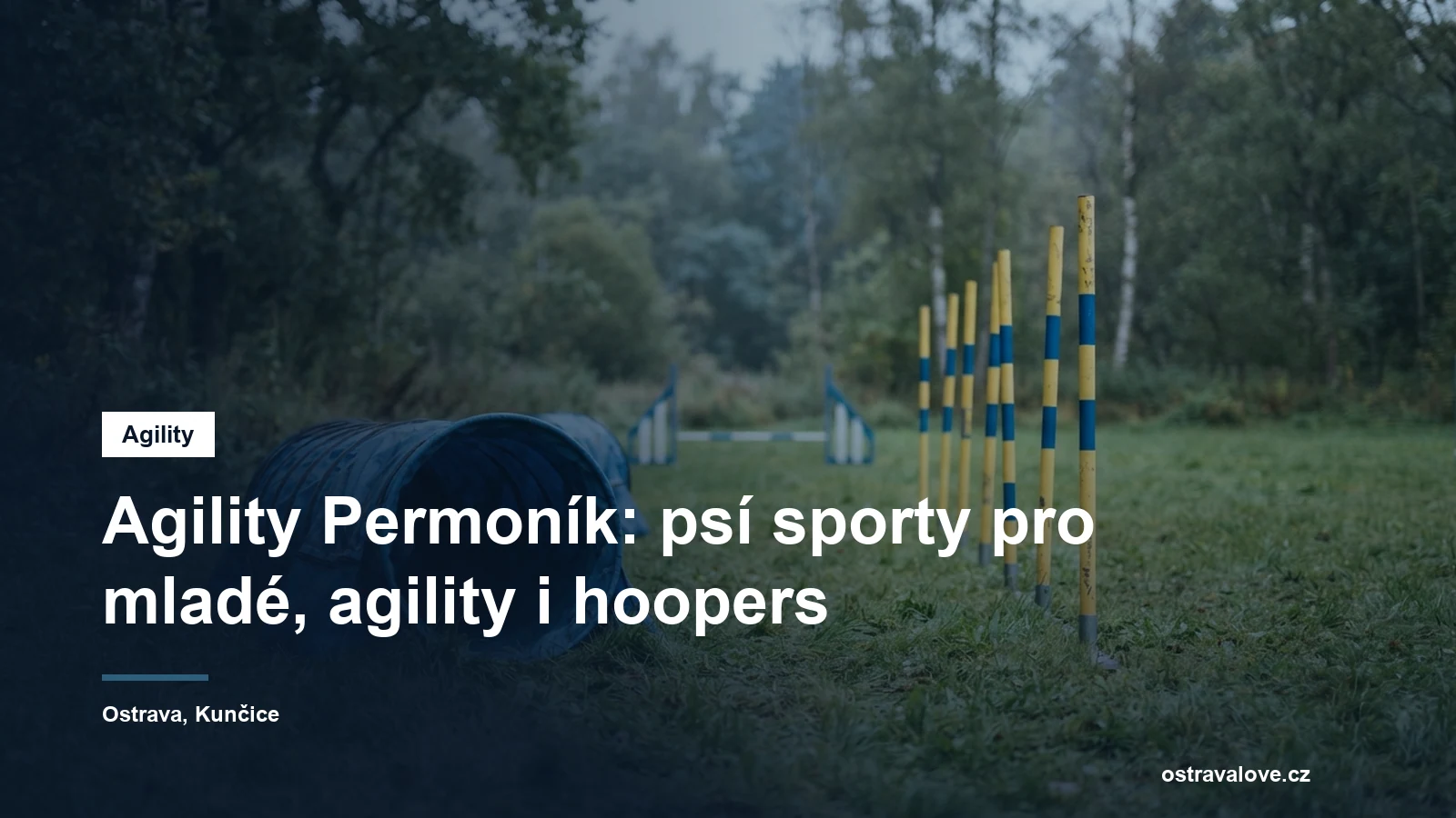 Agility tunel a slalomové tyče na travnaté ploše