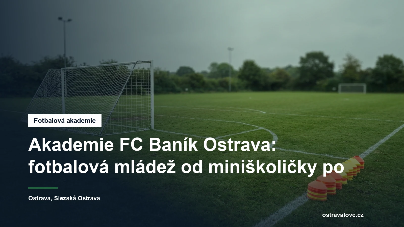 Fotbalové hřiště s brankou a vyznačeným pokutovým územím