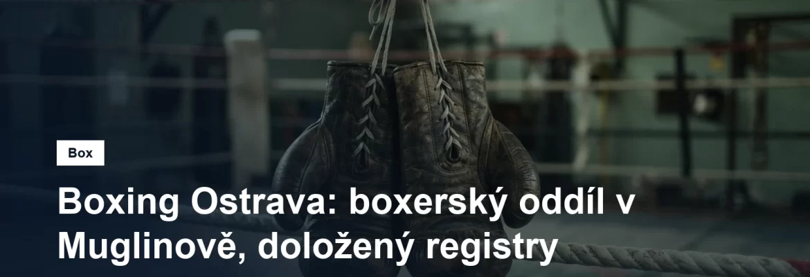 Boxerské rukavice zavěšené na provazech ringu