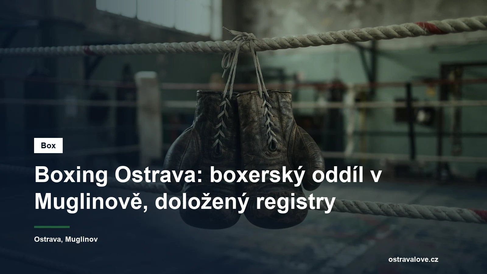 Boxerské rukavice zavěšené na provazech ringu