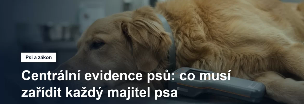 Čtečka mikročipů položená vedle klidně ležícího psa na vyšetřovacím stole ve veterinární ordinaci