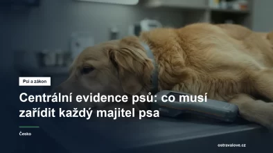 Čtečka mikročipů položená vedle klidně ležícího psa na vyšetřovacím stole ve veterinární ordinaci