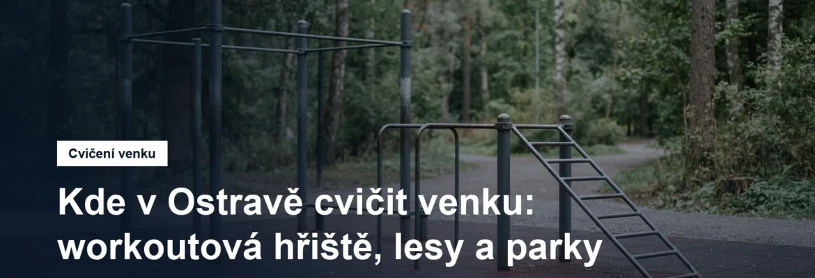 Venkovní workoutové hřiště s hrazdami a bradly