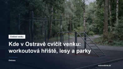 Venkovní workoutové hřiště s hrazdami a bradly