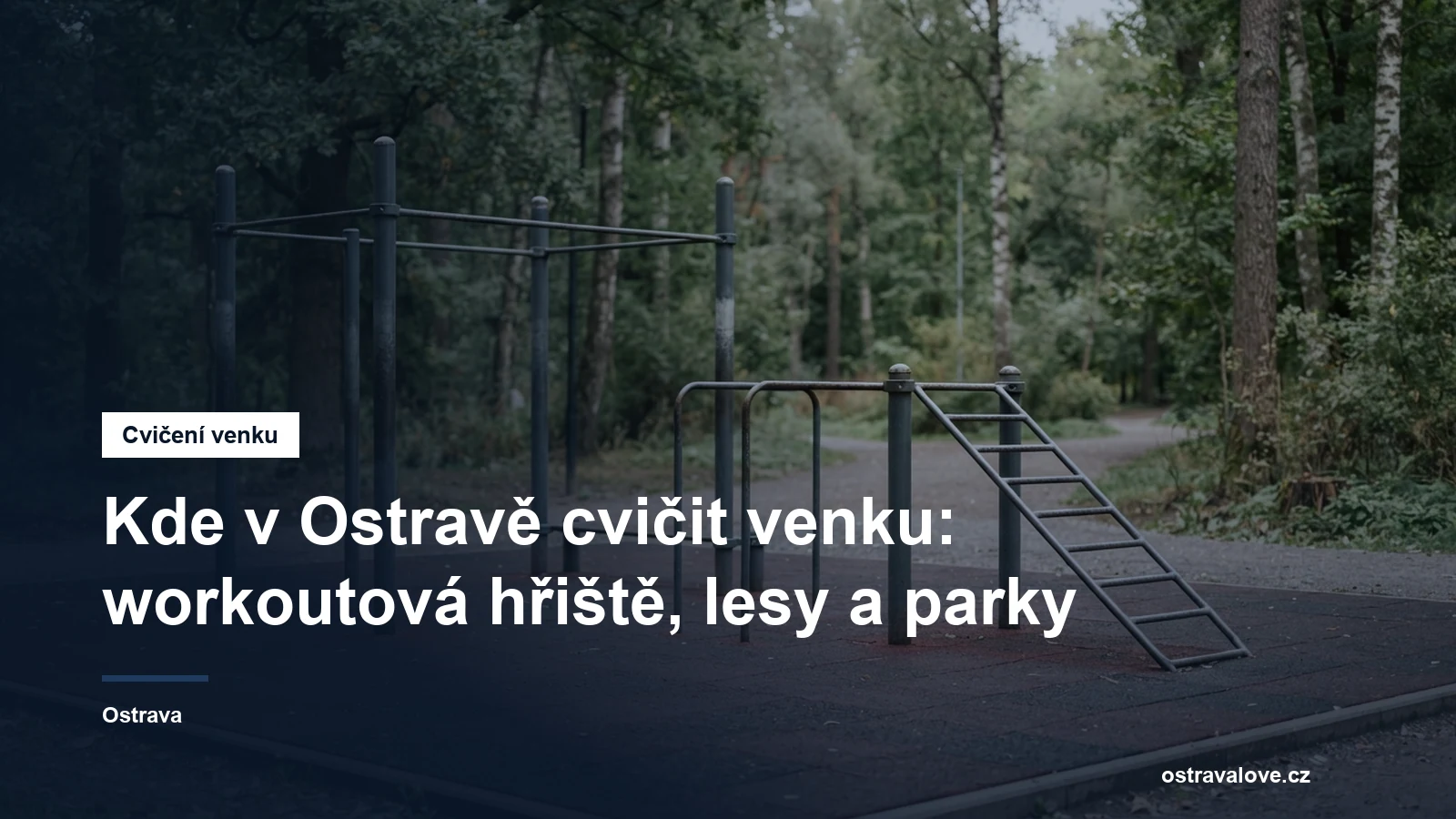 Venkovní workoutové hřiště s hrazdami a bradly