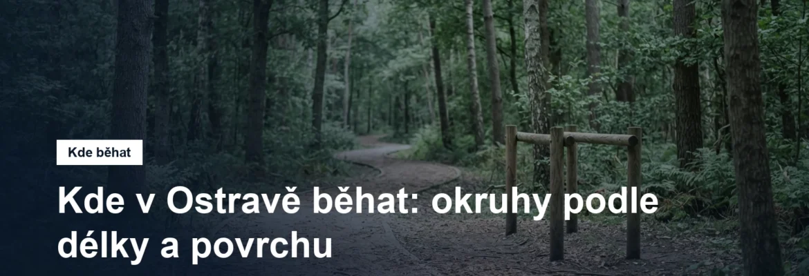 Měkká lesní běžecká trasa mezi stromy