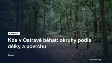 Měkká lesní běžecká trasa mezi stromy