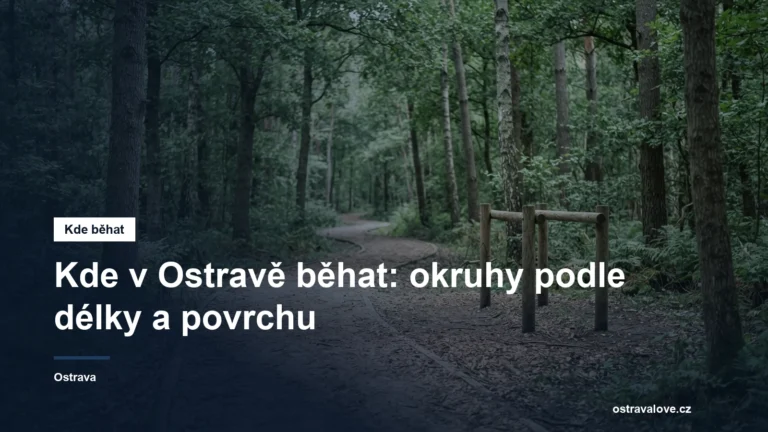 Měkká lesní běžecká trasa mezi stromy