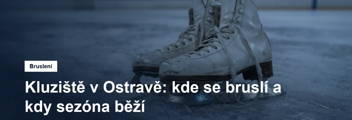Brusle položené na ledové ploše