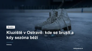 Brusle položené na ledové ploše