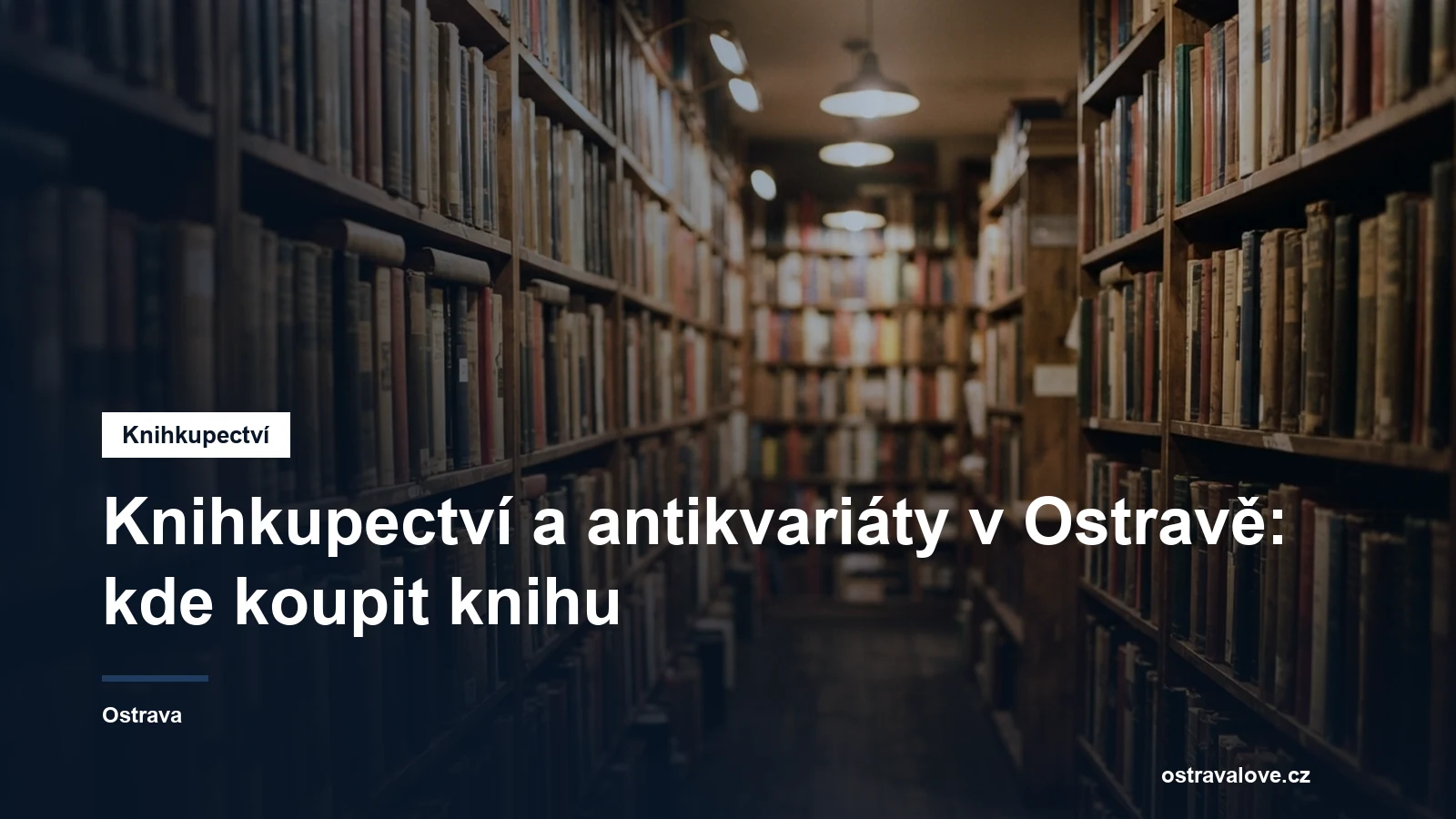 Regály plné knih v knihkupectví