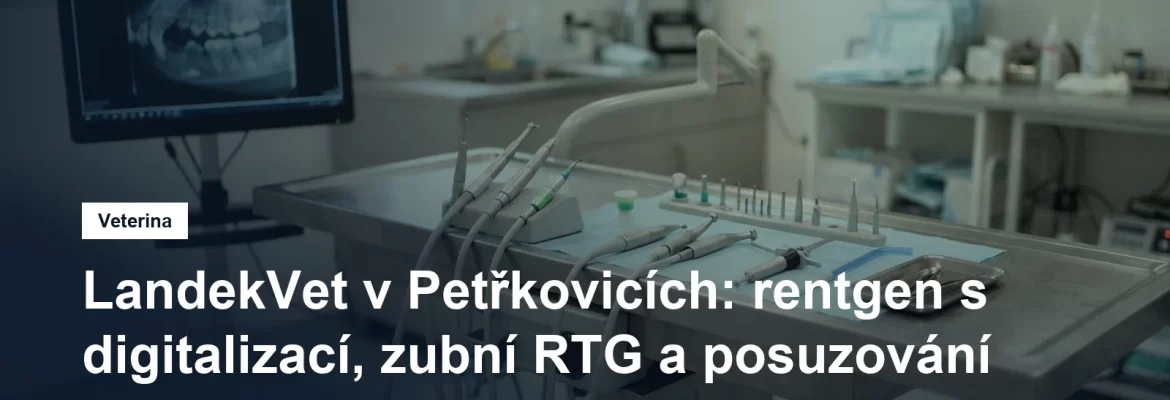 Veterinární zubní jednotka s nástroji a rentgenovým snímkem na monitoru