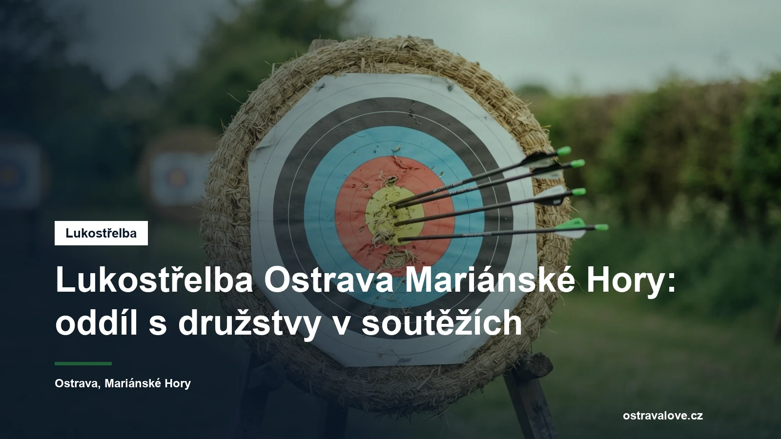 Terčovnice s barevným terčem a zapíchnutými šípy