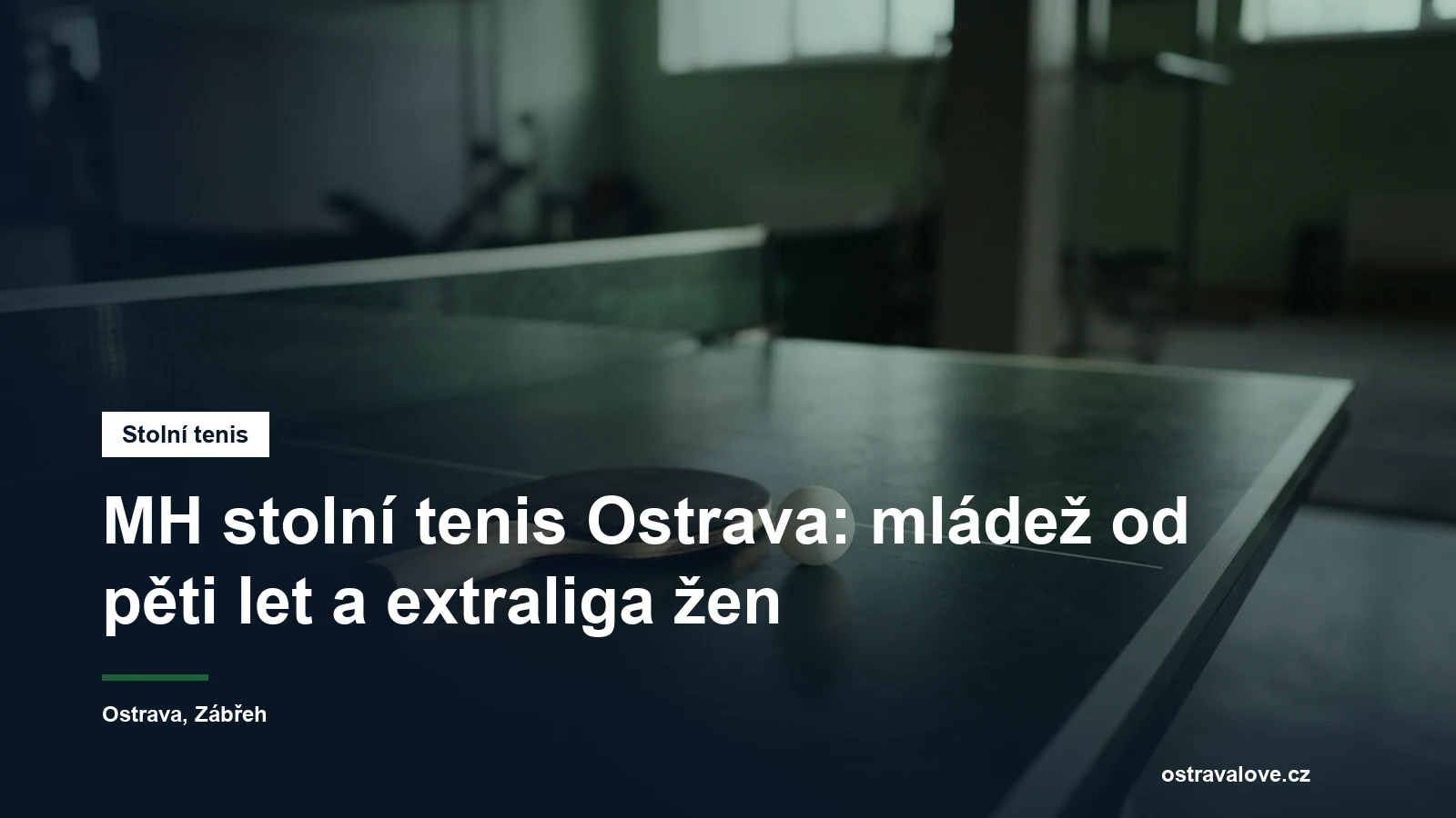 Stůl na stolní tenis se síťkou, pálkou a míčkem
