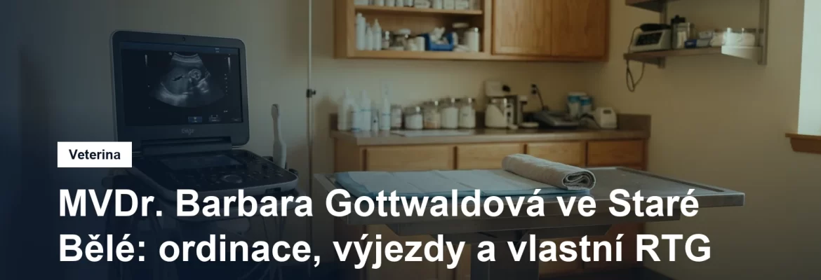 Ultrazvukový přístroj a vyšetřovací stůl ve veterinární ordinaci