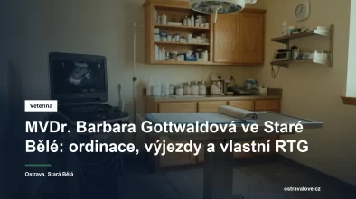 Ultrazvukový přístroj a vyšetřovací stůl ve veterinární ordinaci