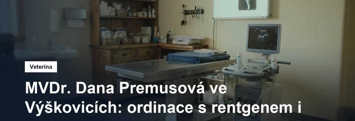 Ultrazvukový přístroj vedle vyšetřovacího stolu ve veterinární ordinaci