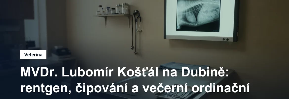 Rentgenový snímek na prohlížecím panelu ve veterinární ordinaci