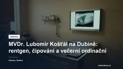 Rentgenový snímek na prohlížecím panelu ve veterinární ordinaci