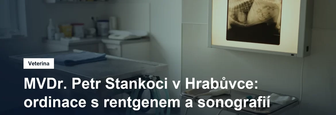 Rentgenový snímek na prohlížecím panelu ve veterinární ordinaci