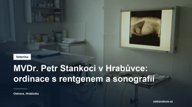Rentgenový snímek na prohlížecím panelu ve veterinární ordinaci