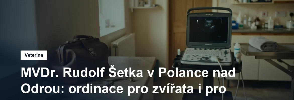 Přenosný ultrazvukový přístroj a veterinární brašna na pracovním stole ordinace