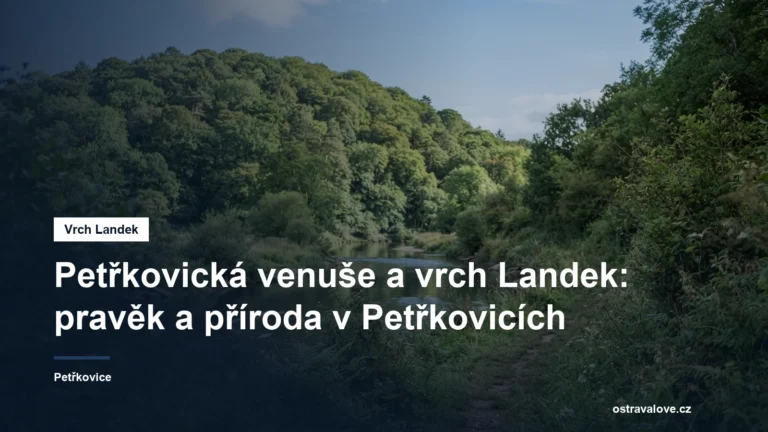 Zalesněný vrch nad řekou s cestou