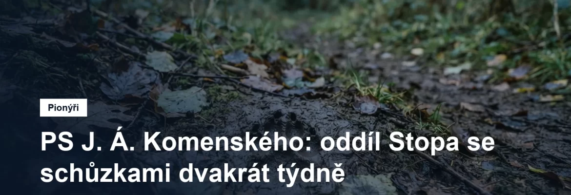 Stopa v blátě u lesní cesty