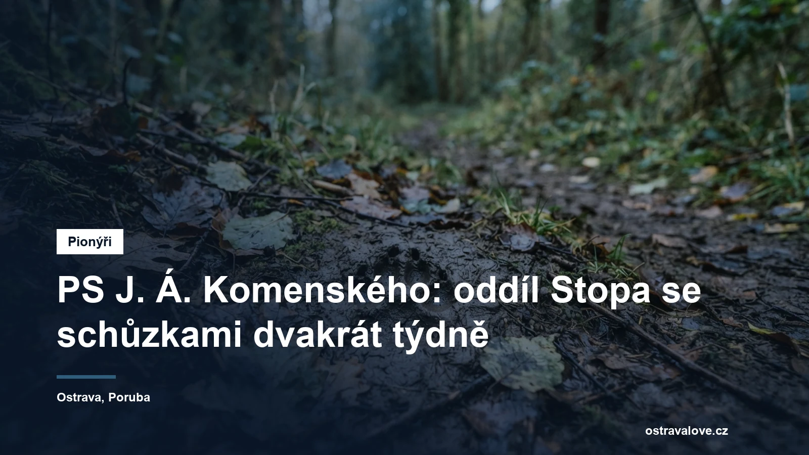 Stopa v blátě u lesní cesty