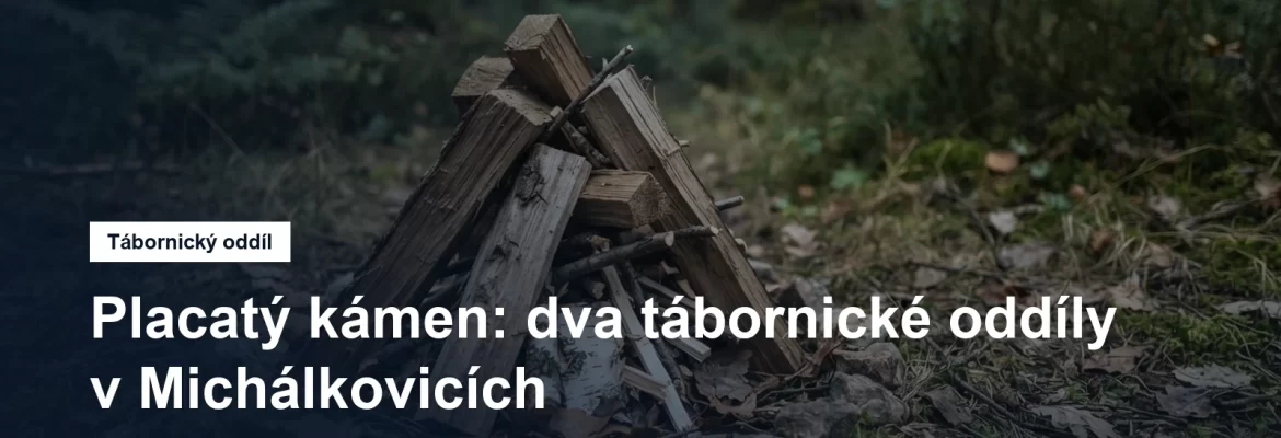 Ohniště s naskládaným dřívím na okraji lesa