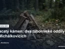 Ohniště s naskládaným dřívím na okraji lesa