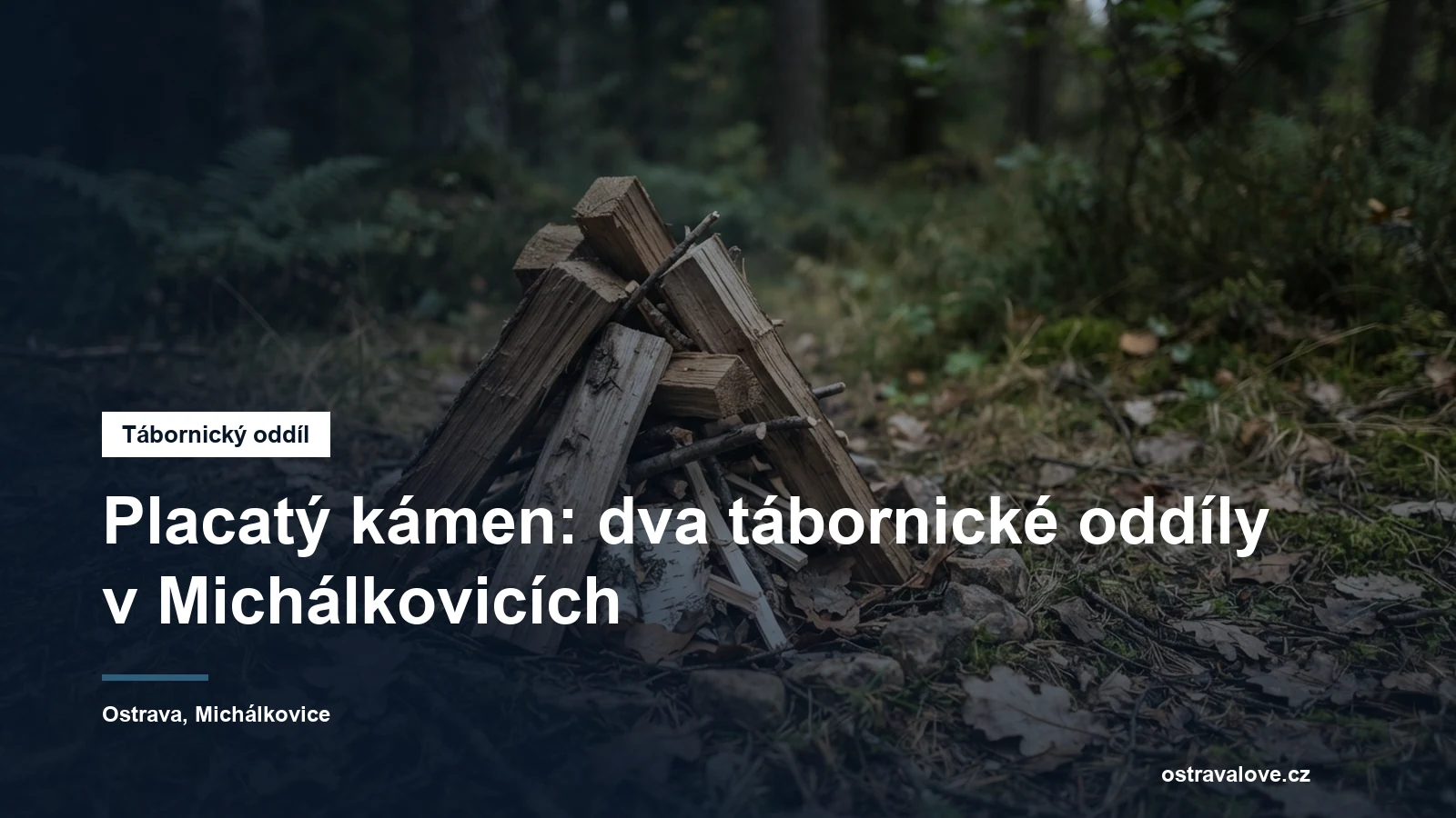 Ohniště s naskládaným dřívím na okraji lesa