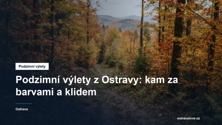 Barevný podzimní les v Beskydech s cestou