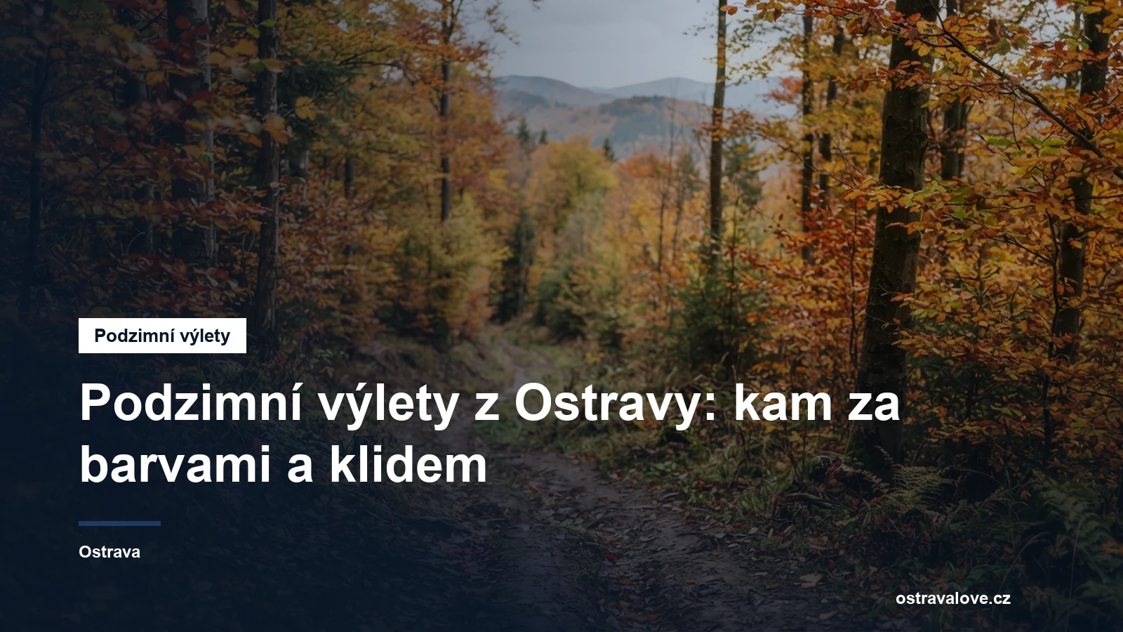 Barevný podzimní les v Beskydech s cestou