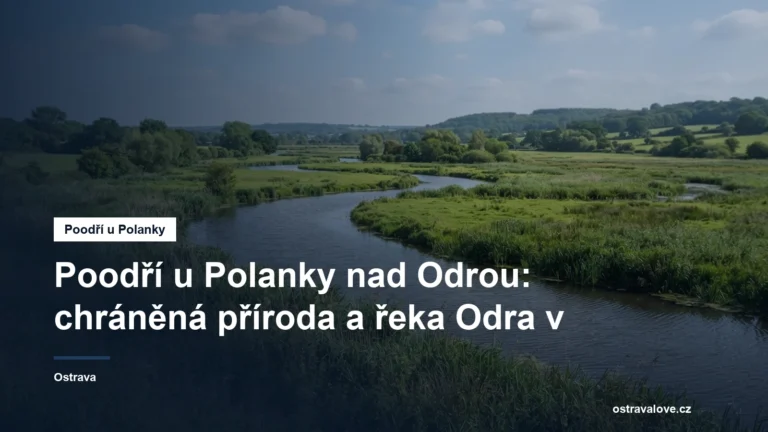Meandrující řeka Odra v lužní krajině s mokřady