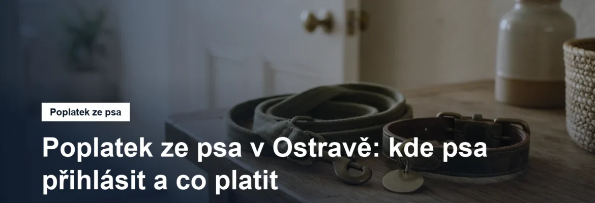 Pes na vodítku před bytovým domem