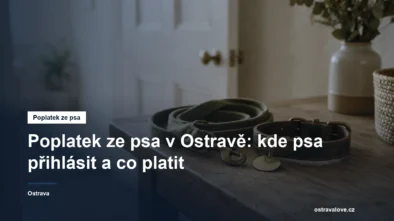 Pes na vodítku před bytovým domem
