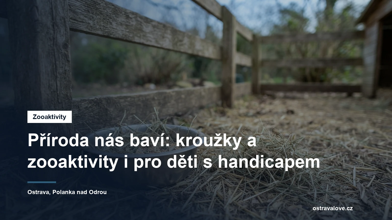 Miska a seno u dřevěné ohrady