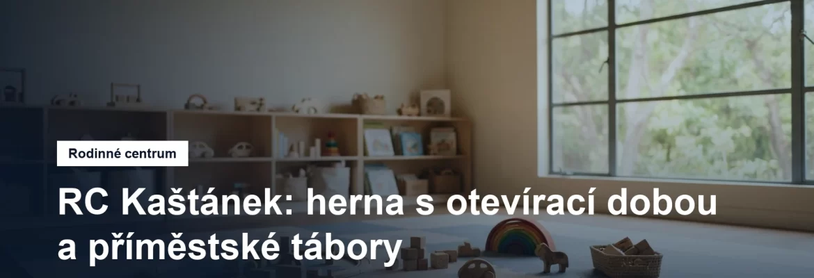 Dřevěné hračky a měkké podložky v herně
