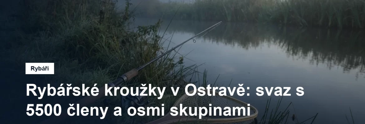 Rybářský prut a podběrák opřené o břeh