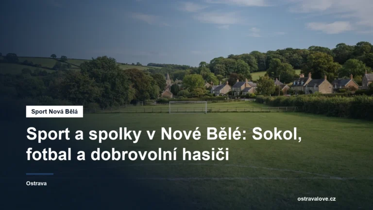 Travnaté fotbalové hřiště v obci