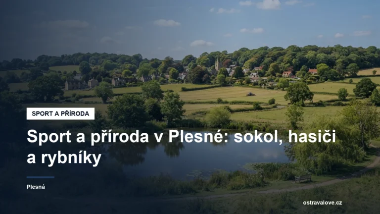 Rybník a lesy v okolí Plesné