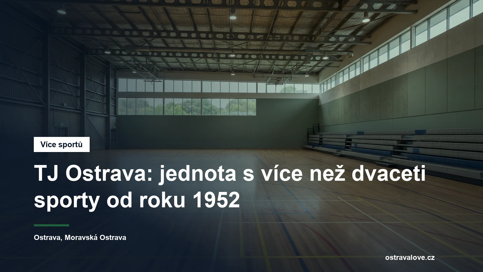 Prázdná sportovní hala s vyznačenými čarami několika hřišť