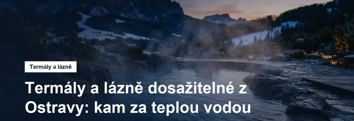 Venkovní termální bazén s párou v horské krajině
