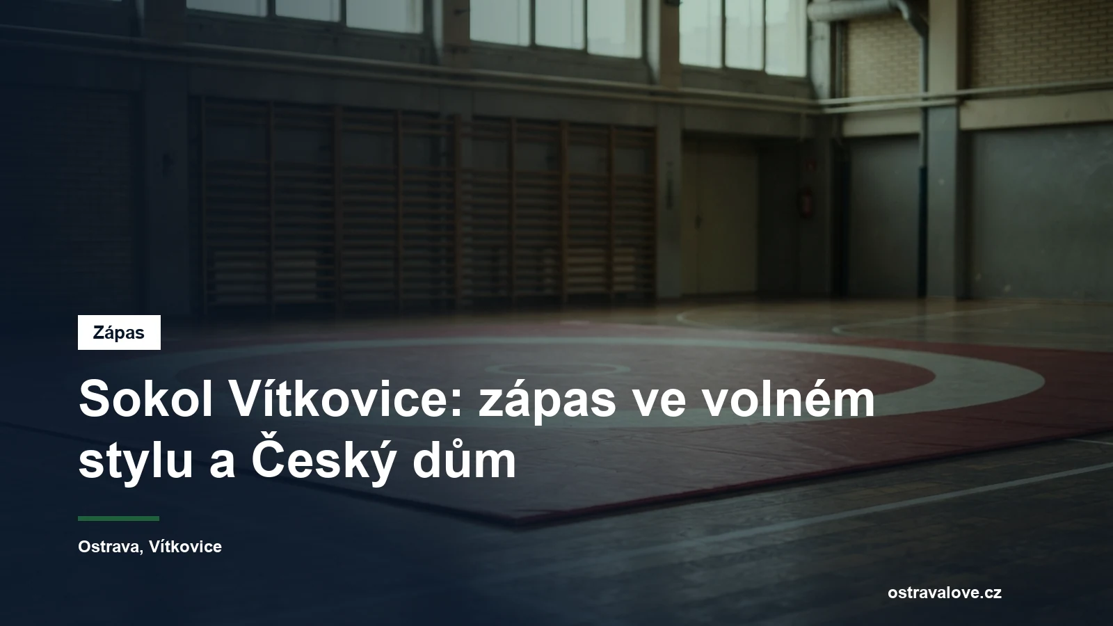 Zápasnická žíněnka s vyznačeným kruhem v tělocvičně